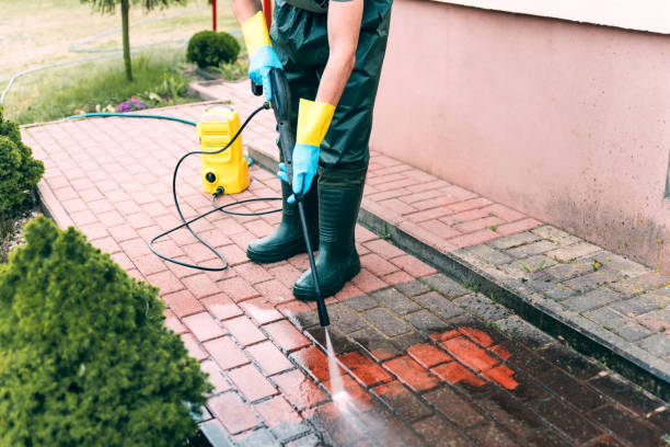 Best Oil Spill Cleanup  in South Houston, TX